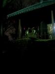 blog1003232.jpg